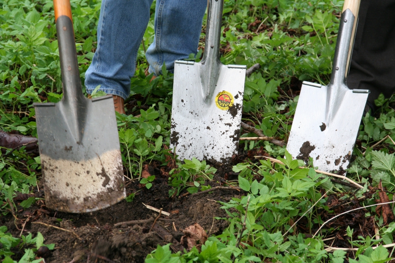 pepiniere-GORBIO-min_work-lawn-flower-tool-green-backyard-1103633-pxhere.com